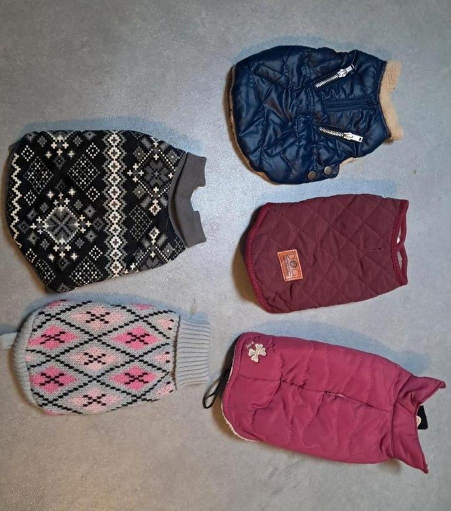 5 hondenjasjes, Animaux & Accessoires, Vêtements pour chiens, Enlèvement, Utilisé, Manteau pour chien