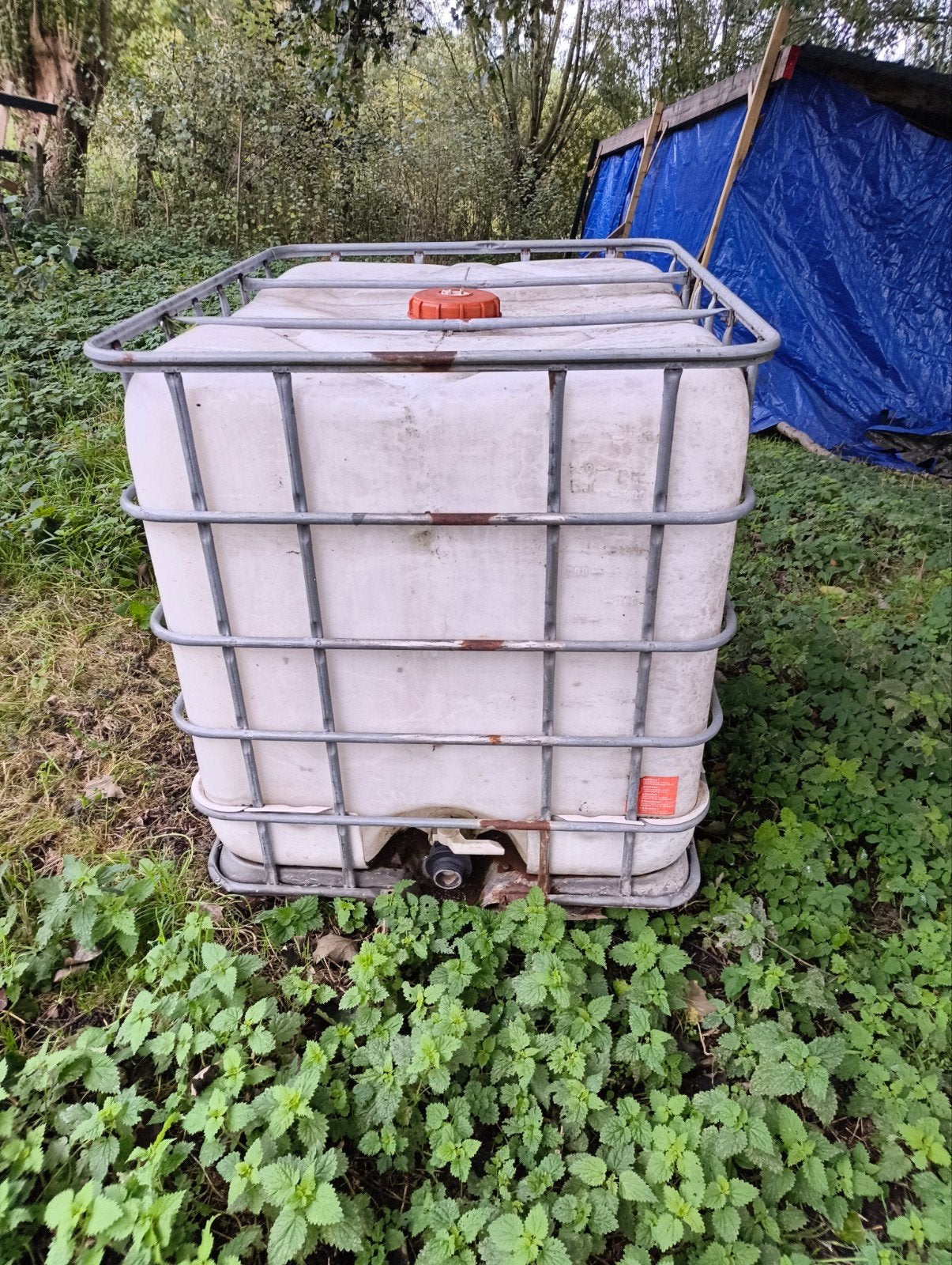 Ibc container 1000l, Ophalen, Kunststof, Gebruikt, Met kraantje