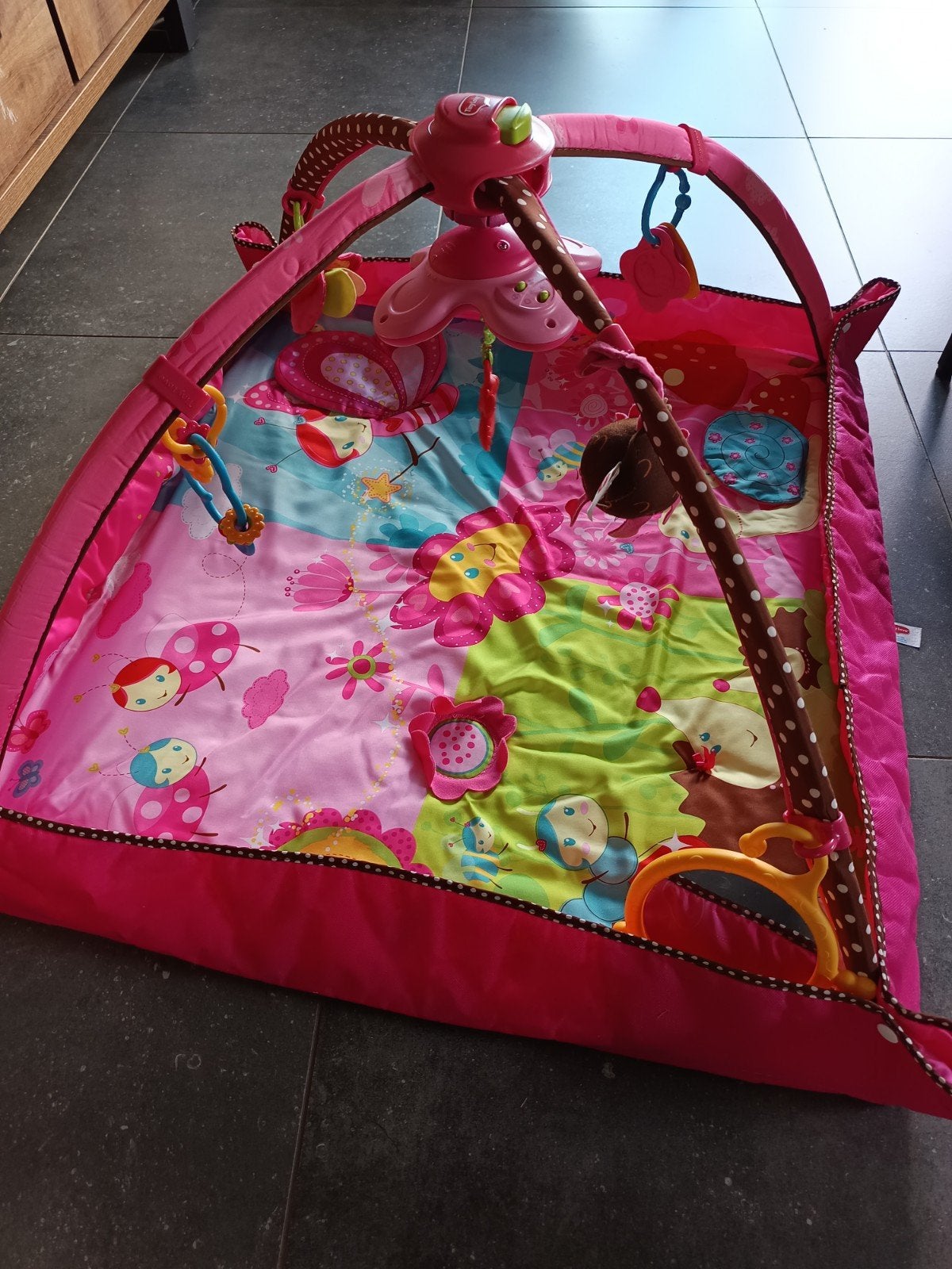 Tiny love speelmat, Kinderen en Baby's, Ophalen