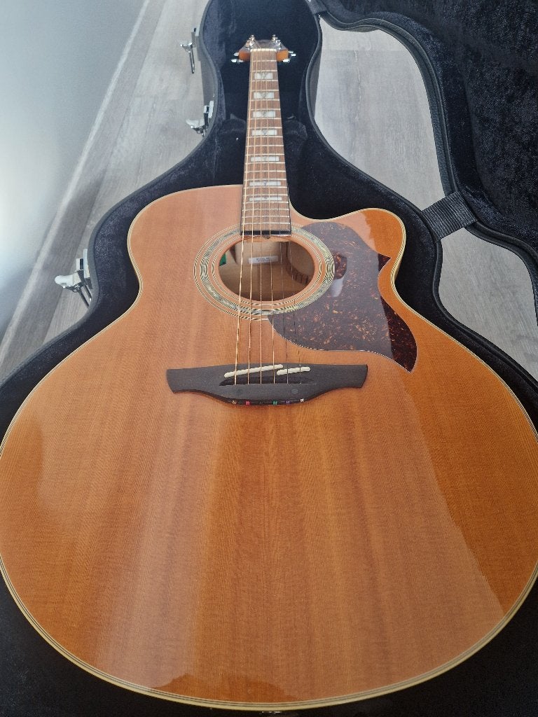 Takamine EG523SC, Muziek en Instrumenten, Ophalen, Gebruikt, Met koffer