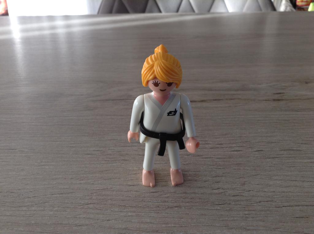 Personnage de karaté Playmobil, Enlèvement ou Envoi, Comme neuf
