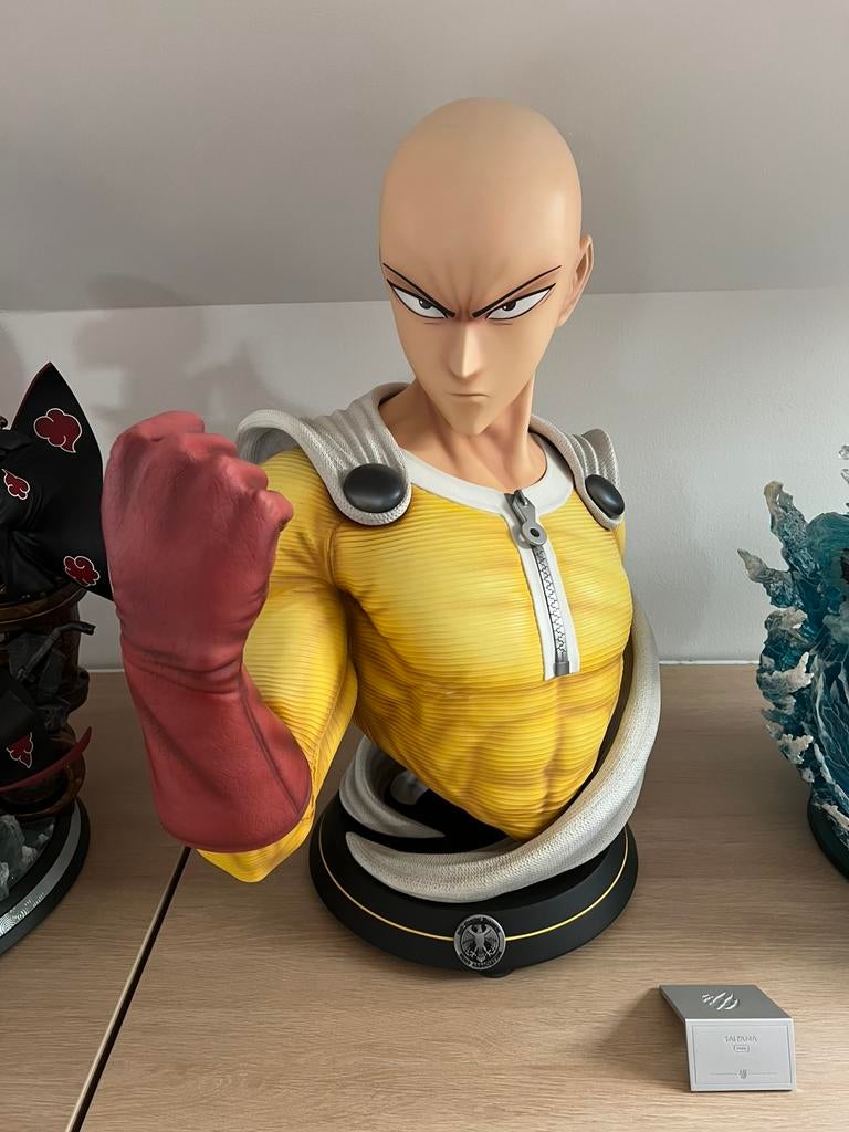 Saitama Mub Tsume Art, Enlèvement, Neuf