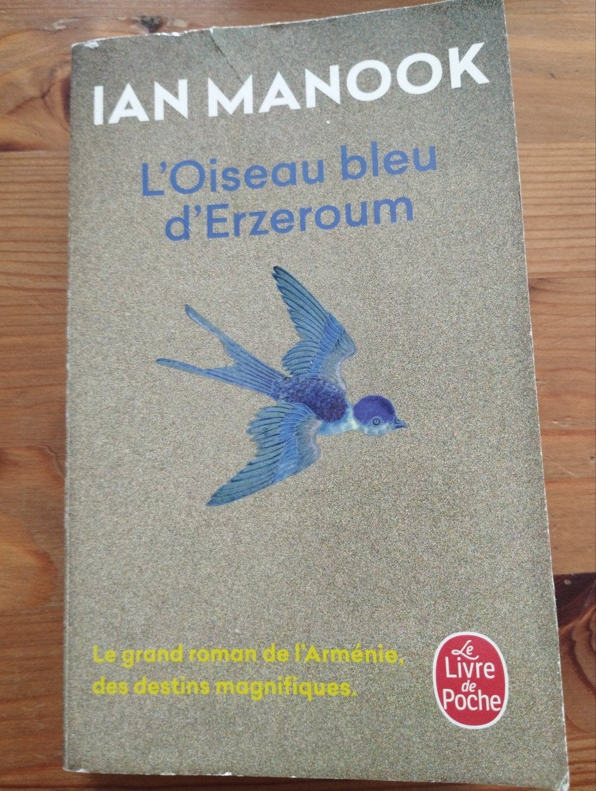 Ian Manook L'oiseau bleu d'Erzeroum, Boeken, Romans, Ophalen of Verzenden