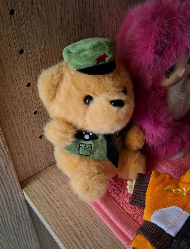 Ours en peluche, Envoi, Utilisé, Autres types