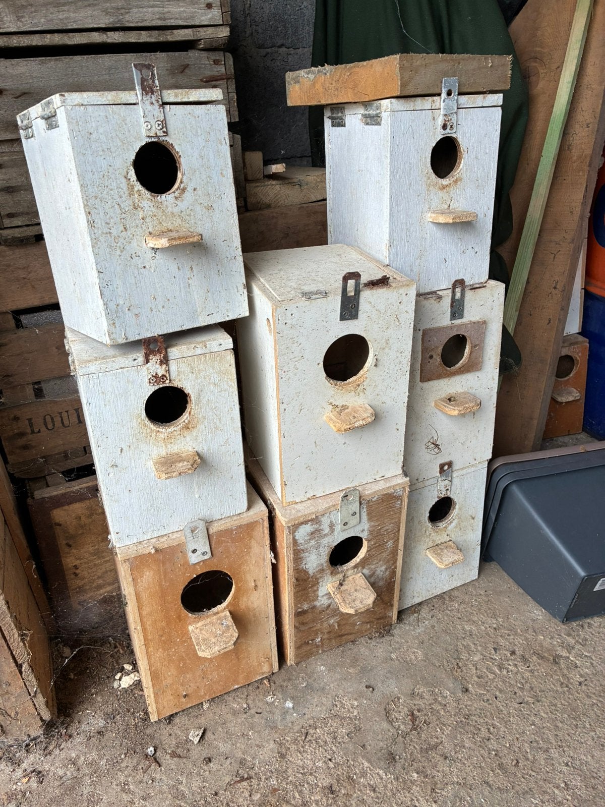 Nestkasten grasparkieten, Dieren en Toebehoren, Ophalen, Gebruikt