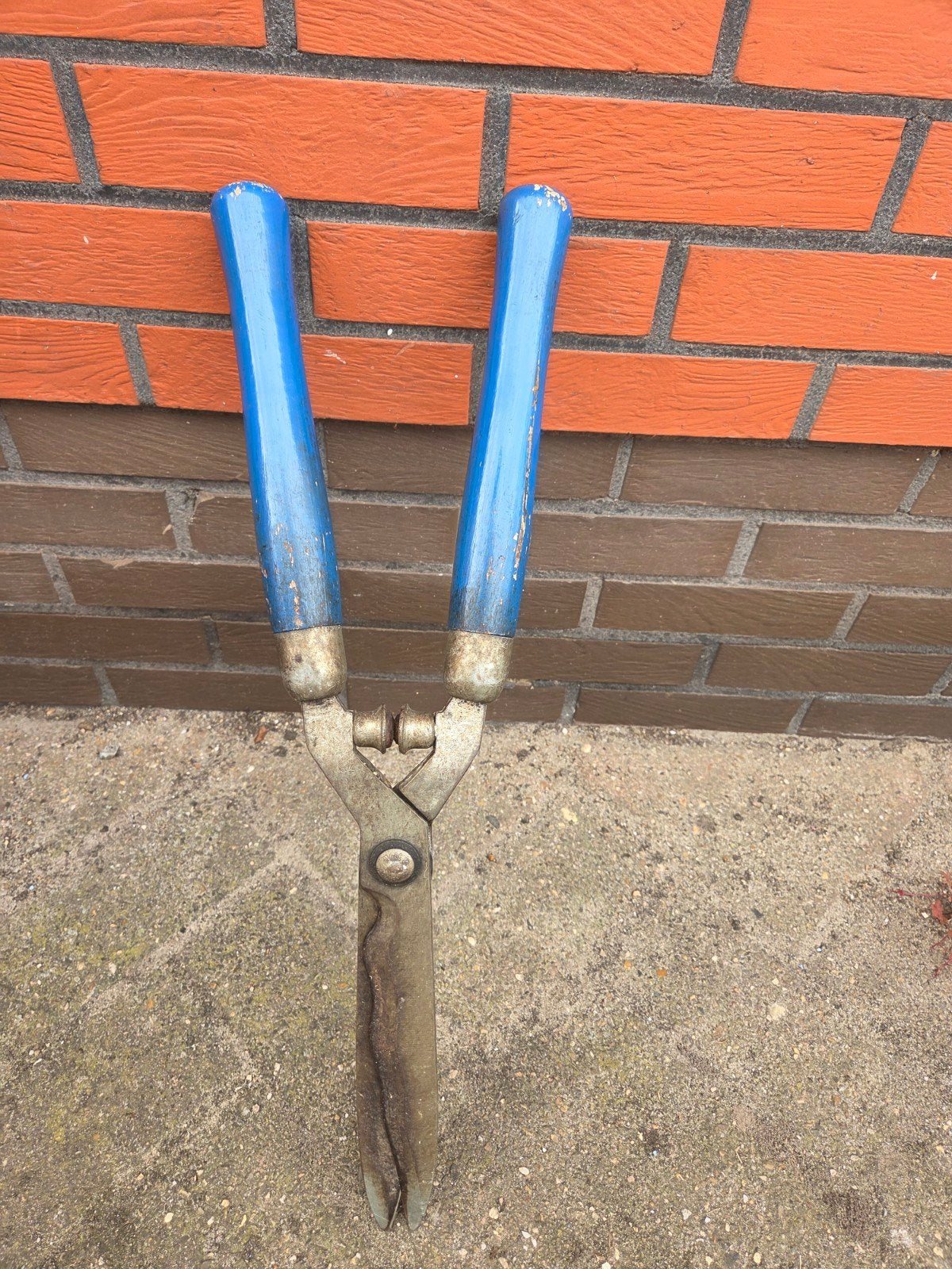 haagschaar, Ophalen of Verzenden, Gebruikt, Handmatig