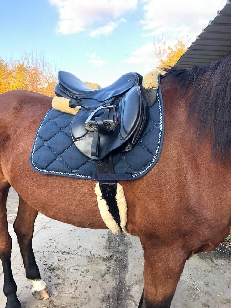 Tapis equithème, Animaux & Accessoires, Enlèvement ou Envoi, Comme neuf