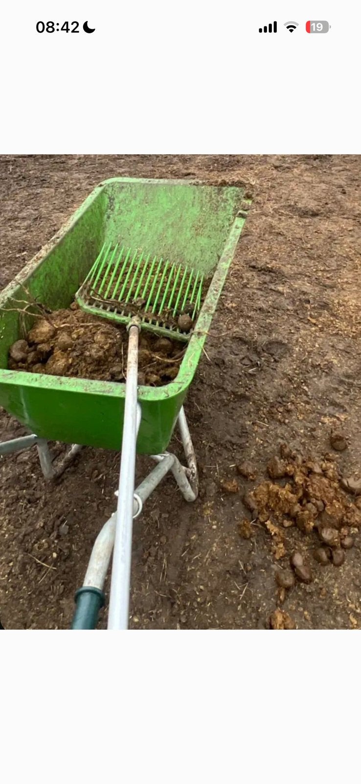 Gratis zuivere paardenmest