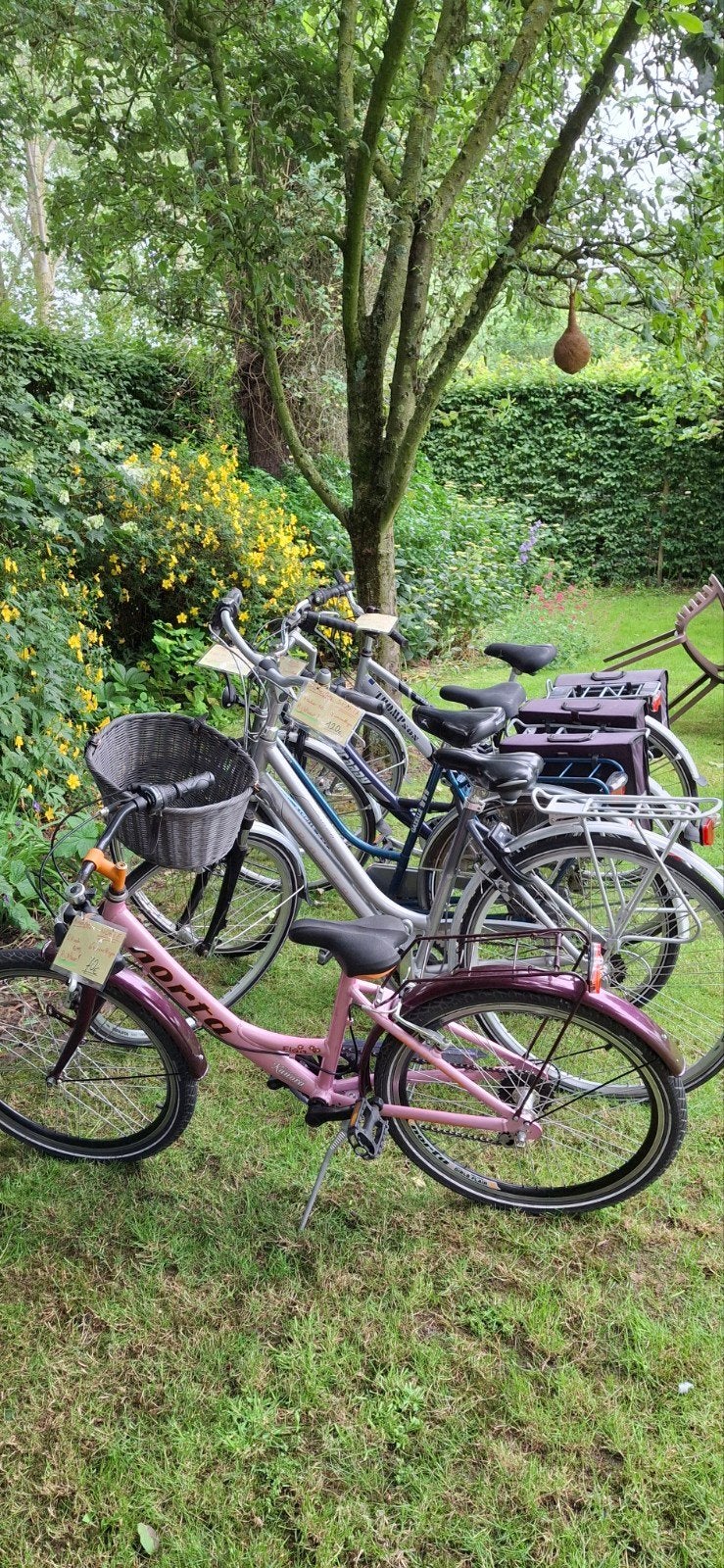 4 mooie damesfietsen, 1 meisjesfiets, allemaal RIJKLAAR!, Ophalen, Gazelle