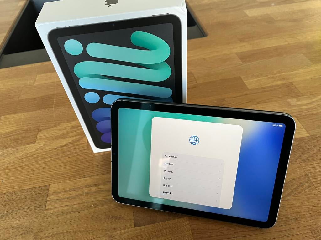 Apple iPad mini 256GB (6th Generation) Wi-Fi + Cellular, Informatique & Logiciels, Apple iPad Tablettes, Gris, 8 pouces, Comme neuf