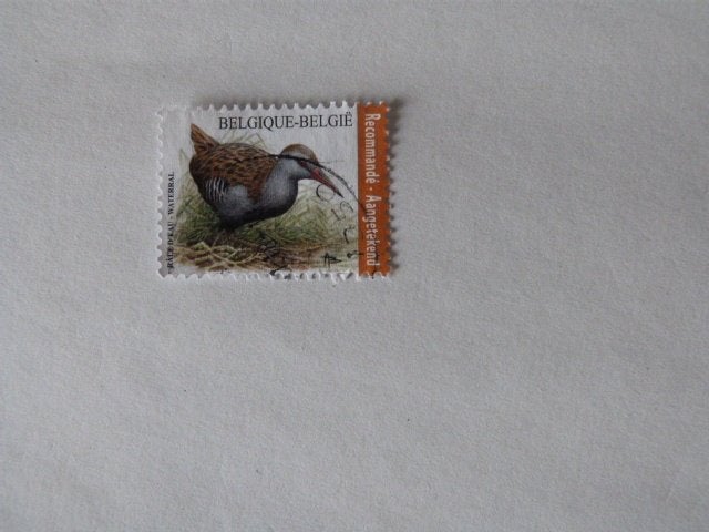België gestempeld nr. 4671, Ophalen of Verzenden, Gestempeld, Gestempeld