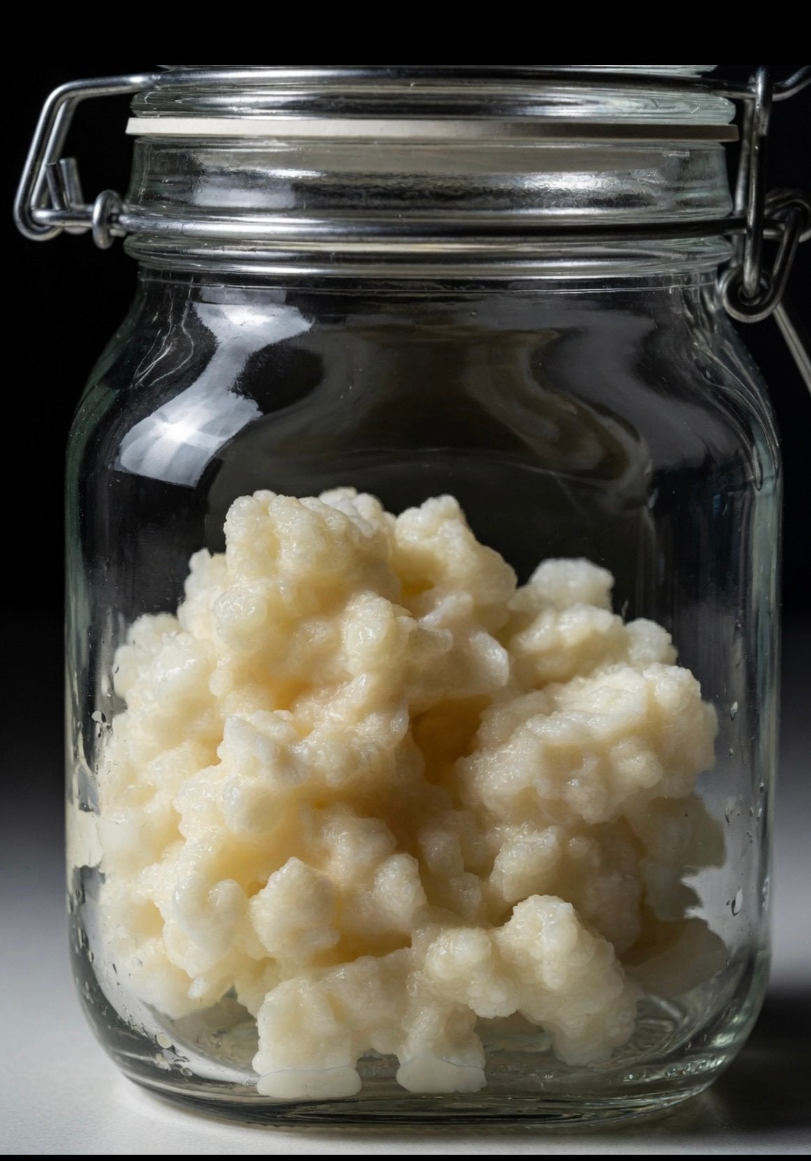 Verse melkkefir korrels 50 gram- actieve kefir korrels, Diversen, Levensmiddelen, Ophalen