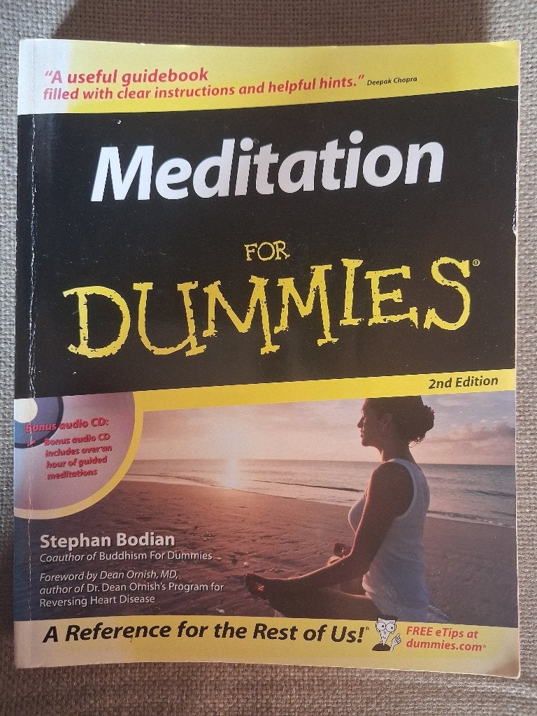 MEDITATION FOR DUMMIES - STEPHAN  BODIAN (incl. CD )- ENGELS, Ophalen of Verzenden, Meditatie of Yoga
