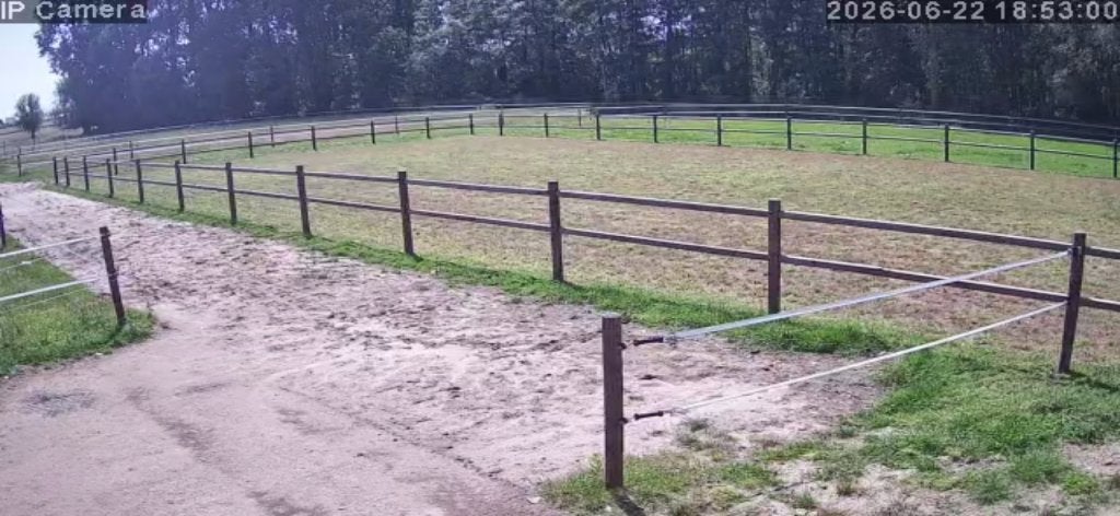 paddock paradise te huur, Dieren en Toebehoren