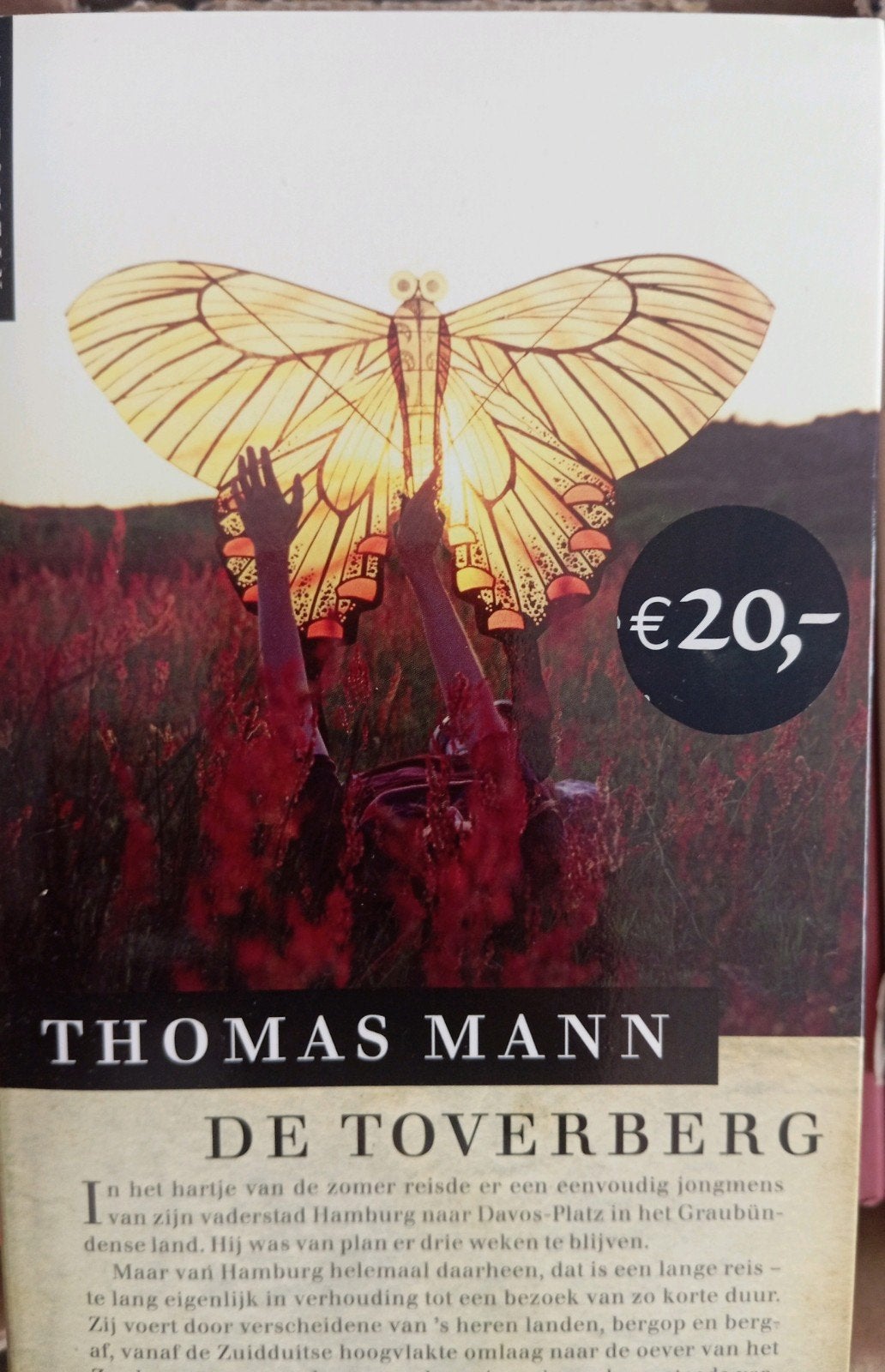 THOMAS MANN - DE TOVERBERG, Ophalen of Verzenden