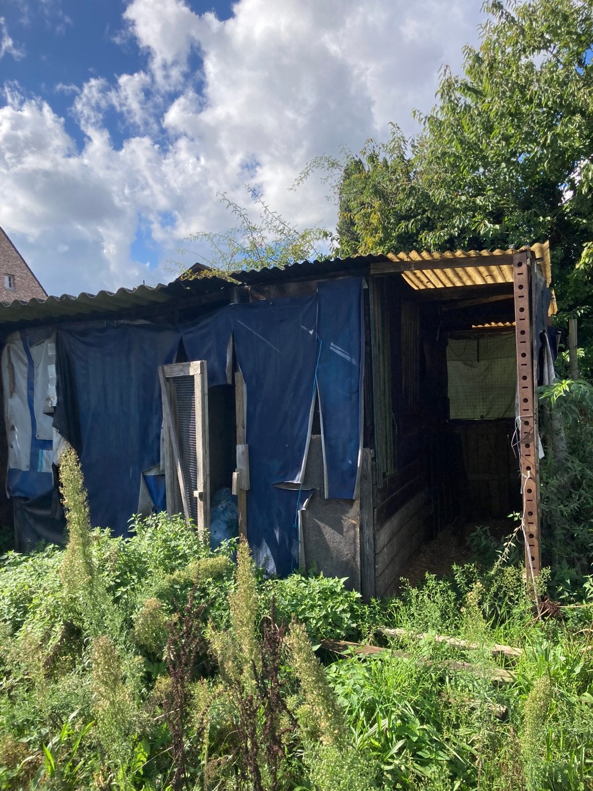 Stal voor paarden, Dieren en Toebehoren