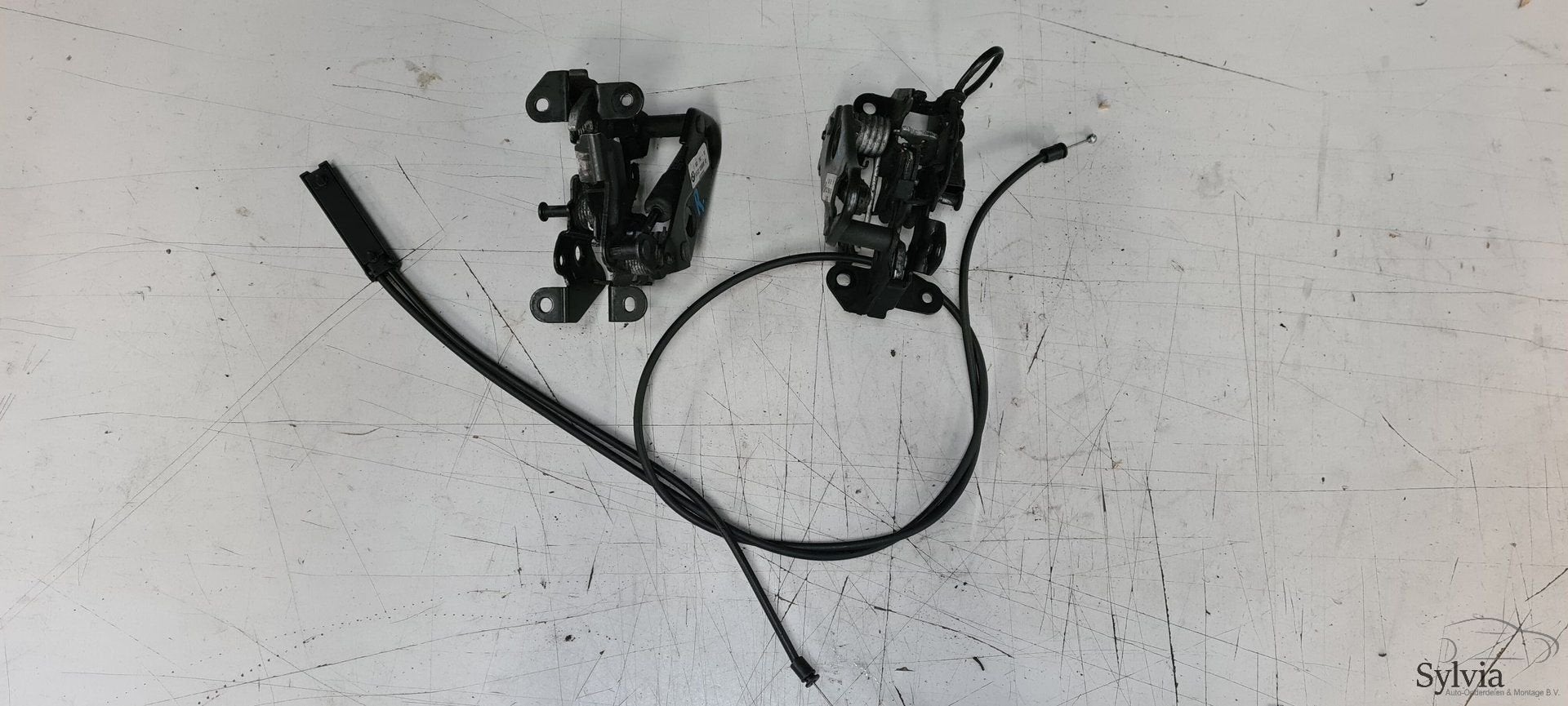 Slot motorkap passief links en rechts BMW 5 / 6 / 7 serie 72, -, Utilisé, -, -