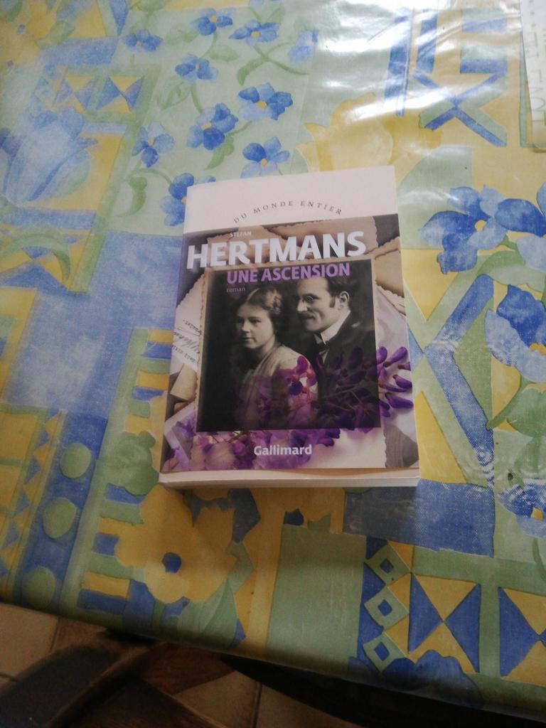 Stefan Hertmans. Une ascension., Ophalen of Verzenden, Zo goed als nieuw