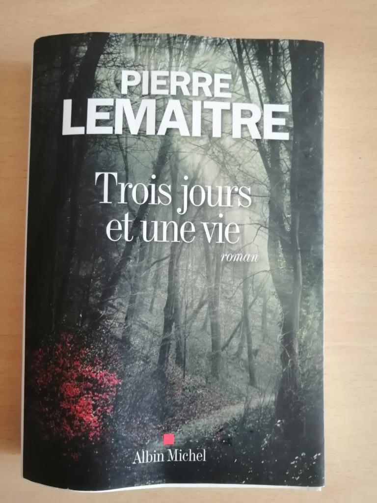 Trois jours et une vie de Pierre Lemaitre, Enlèvement ou Envoi
