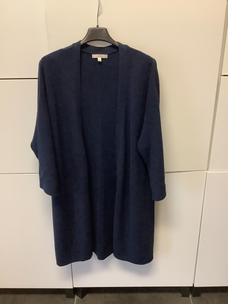 Gilet Gigue, Ophalen of Verzenden, Zo goed als nieuw, Maat 38/40 (M)