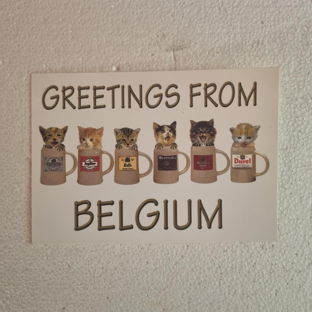 Carte postale Greetings from Belgium, Ophalen of Verzenden, Gebruikt, Overige typen, Overige merken