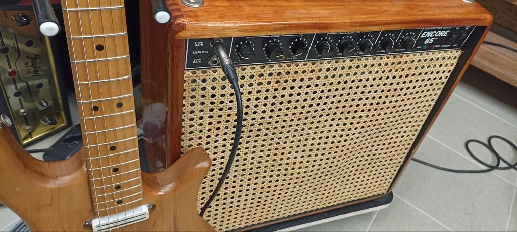 Ampli tout lampes Peavey 65, Musique & Instruments, Enlèvement, Comme neuf
