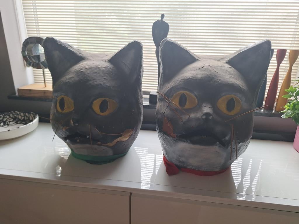Carnaval Aalst wijk de kat, Ophalen of Verzenden