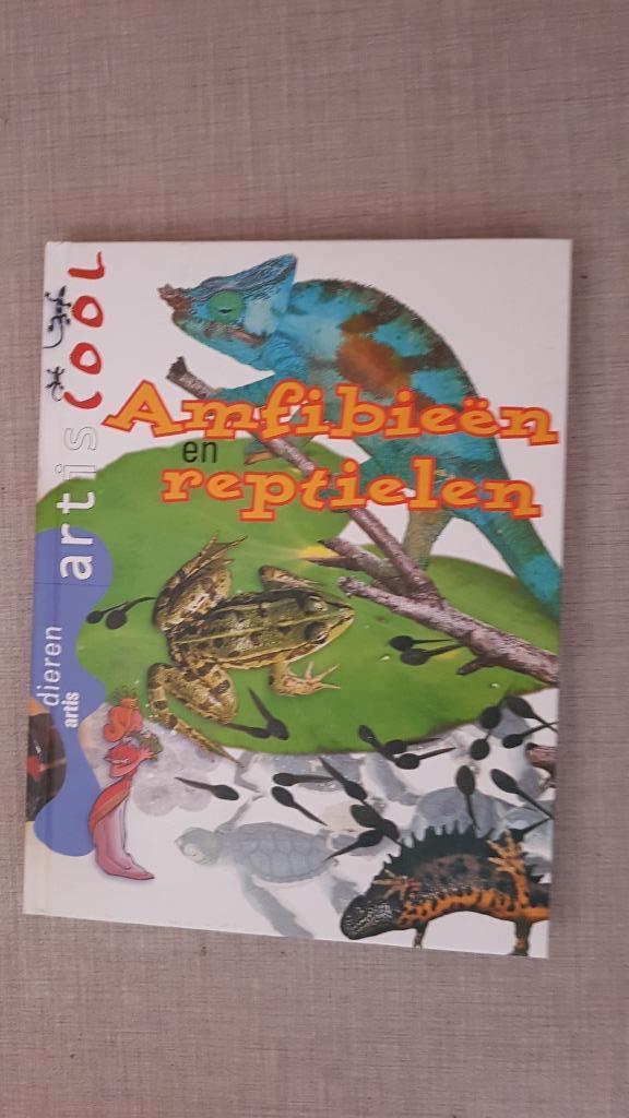 artis historia  artiscool milieu, Livres, Enlèvement ou Envoi, Comme neuf, Artis Historia, Livre d'images