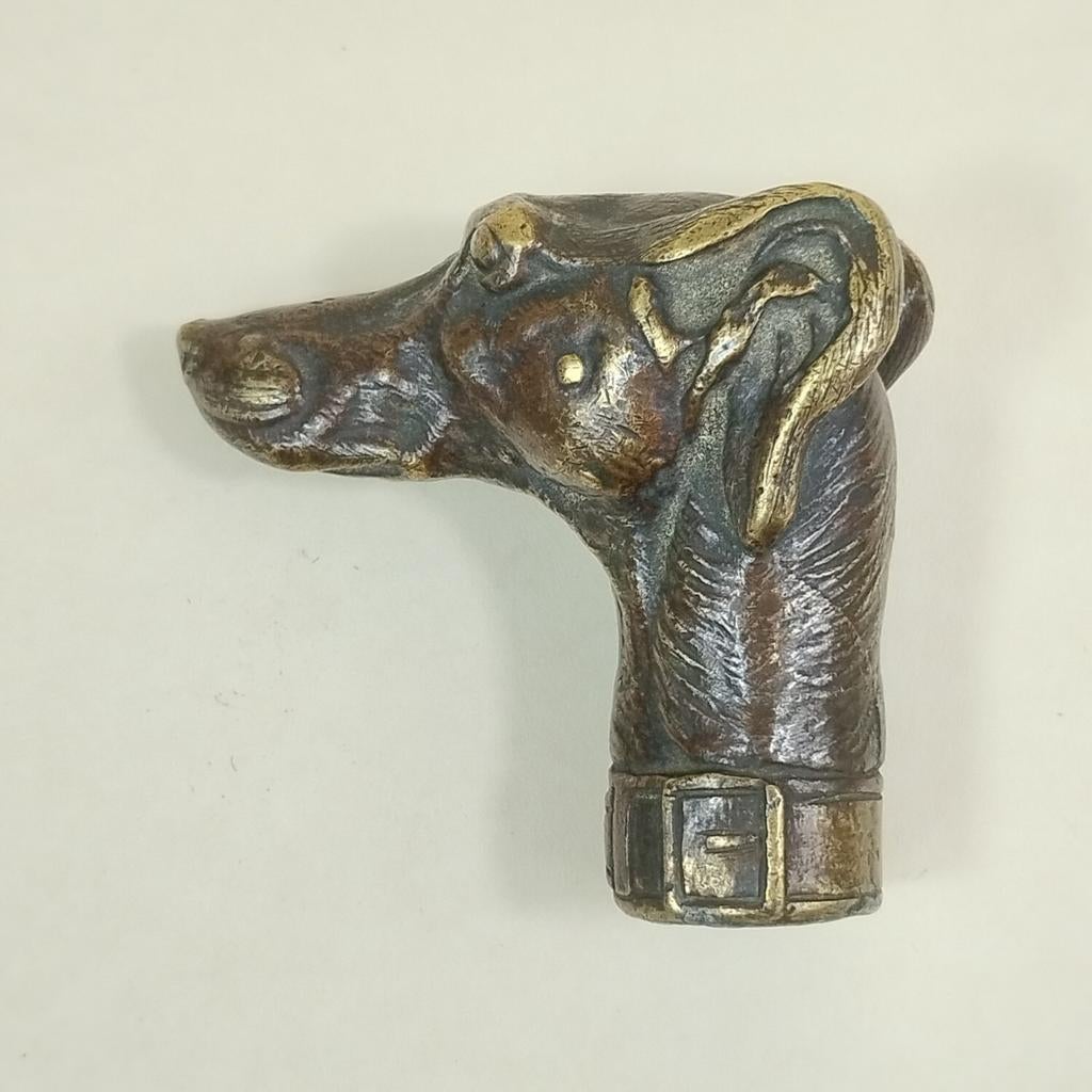 Pommeau tête de lévrier bronze 1900, Enlèvement ou Envoi