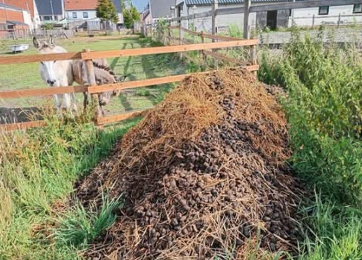 Gratis ezelmest op te halen in Torhout, Enlèvement