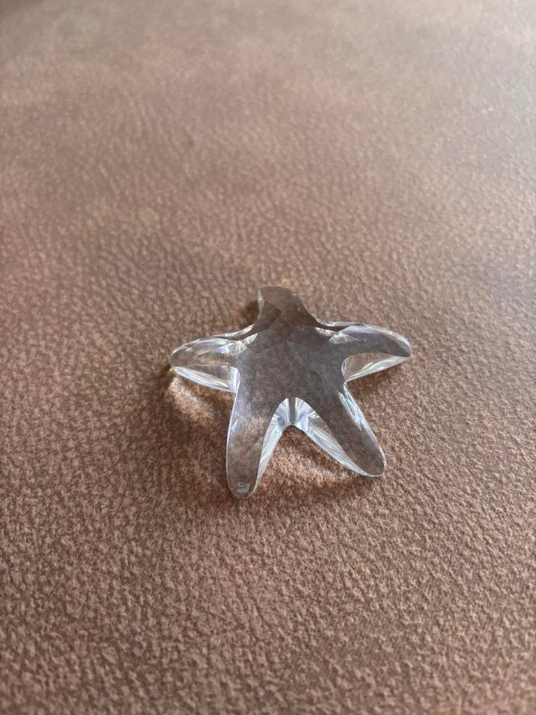 Swarovski zeester, Verzamelen, Ophalen, Zo goed als nieuw