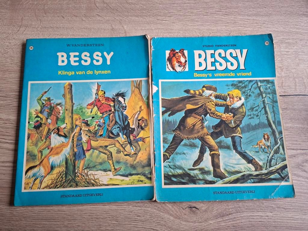 Bessy W. Vandersteen, Enlèvement