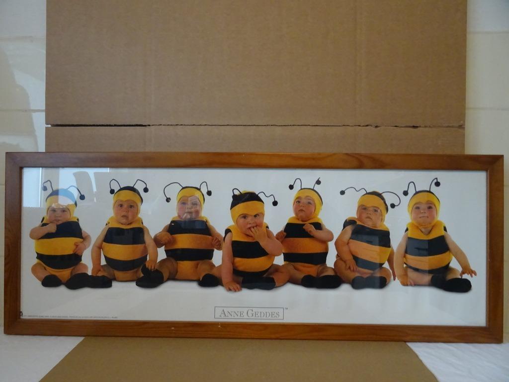 Anne Geddes poster baby's 90x30cm poster Anne Geddes 1997, Verzamelen, Gebruikt, Met lijst, Rechthoekig Liggend, Ophalen of Verzenden