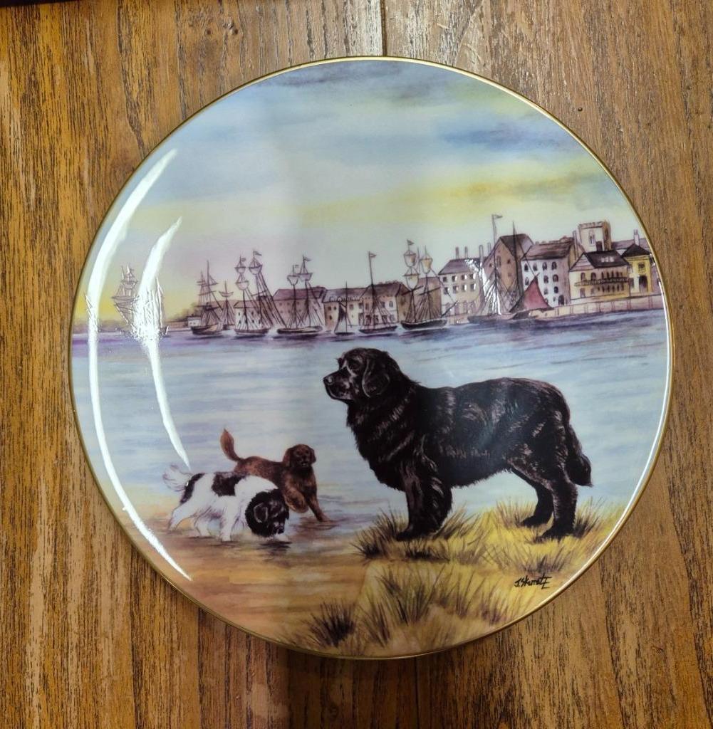Decoratie Bord Newfoundlander, Ophalen of Verzenden, Nieuw