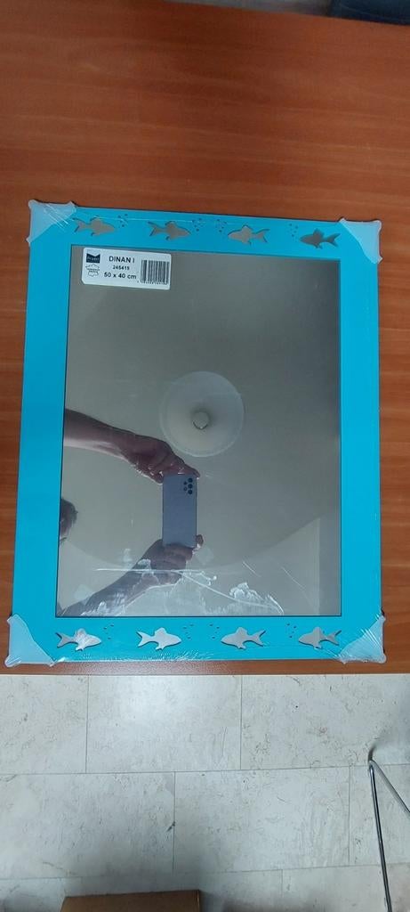 Miroirs, taille 50 x 40 cm, avec motif poisson et autres mot, Neuf, Moins de 100 cm, Enlèvement, Autres types