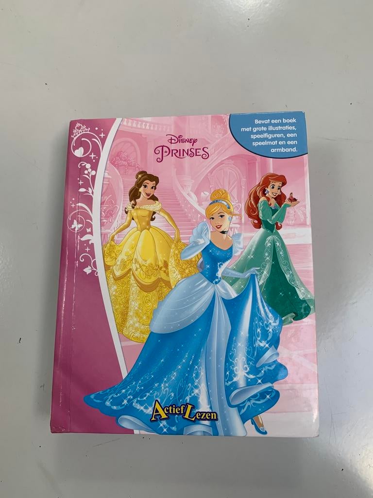 Prinsessenboek met speelmat en speelfiguren, Boeken, Ophalen, Gelezen