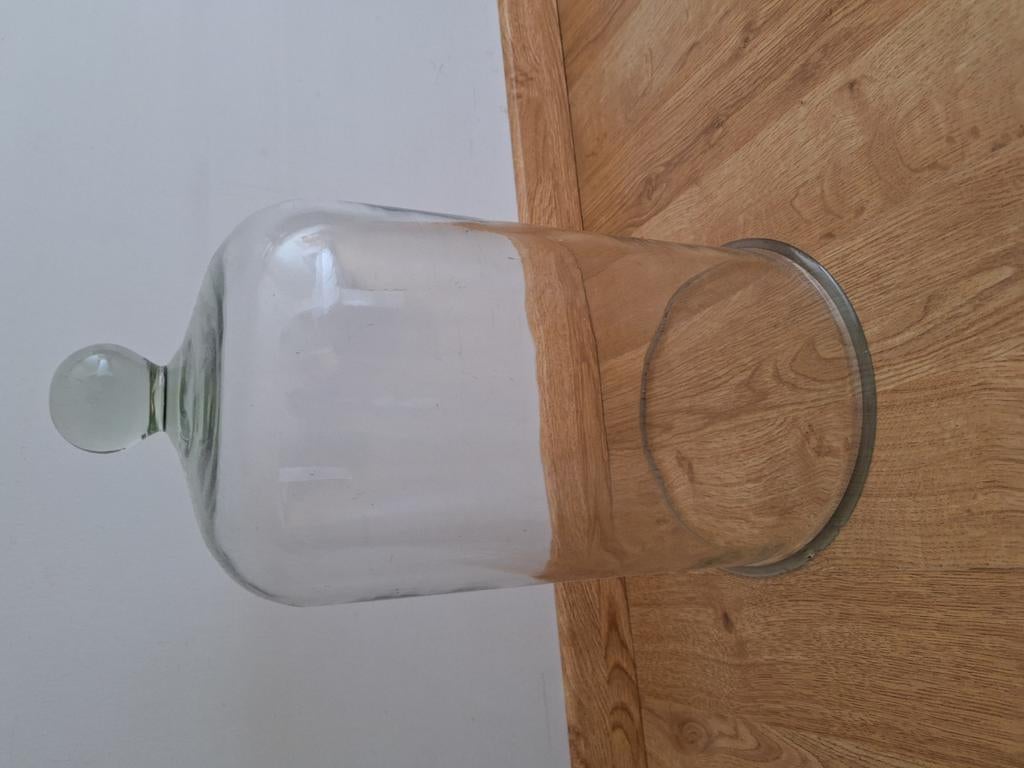 Glazen stolp, Antiek en Kunst, Ophalen