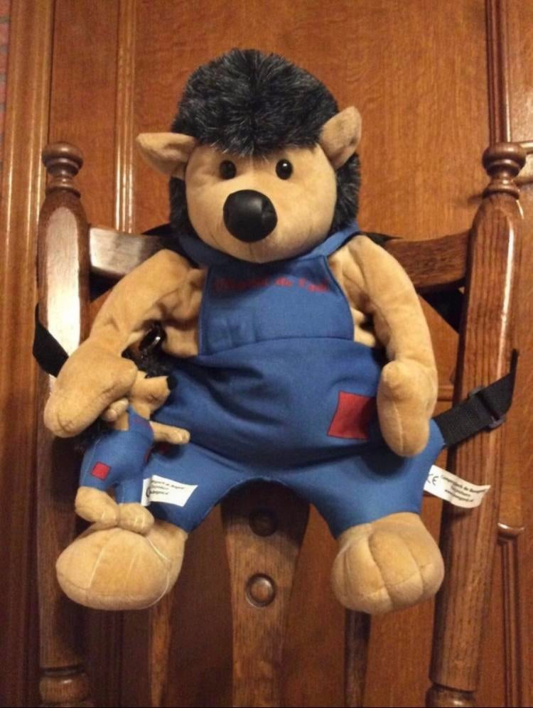 Mooie grote rugzak egel+dezelfde egel sleutelhanger., Kinderen en Baby's, Ophalen of Verzenden, Zo goed als nieuw, Overige typen