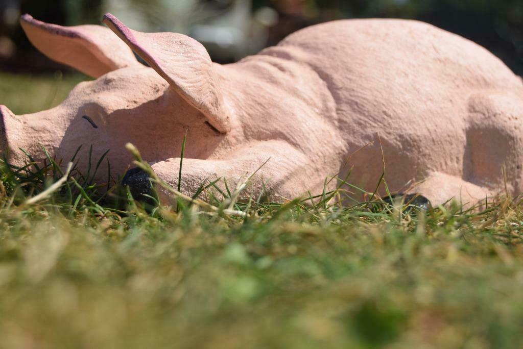 Varken liggend in gepatineerd gietijzer, Tuin en Terras, Ophalen of Verzenden, Nieuw, Overige materialen, Dierenbeeld