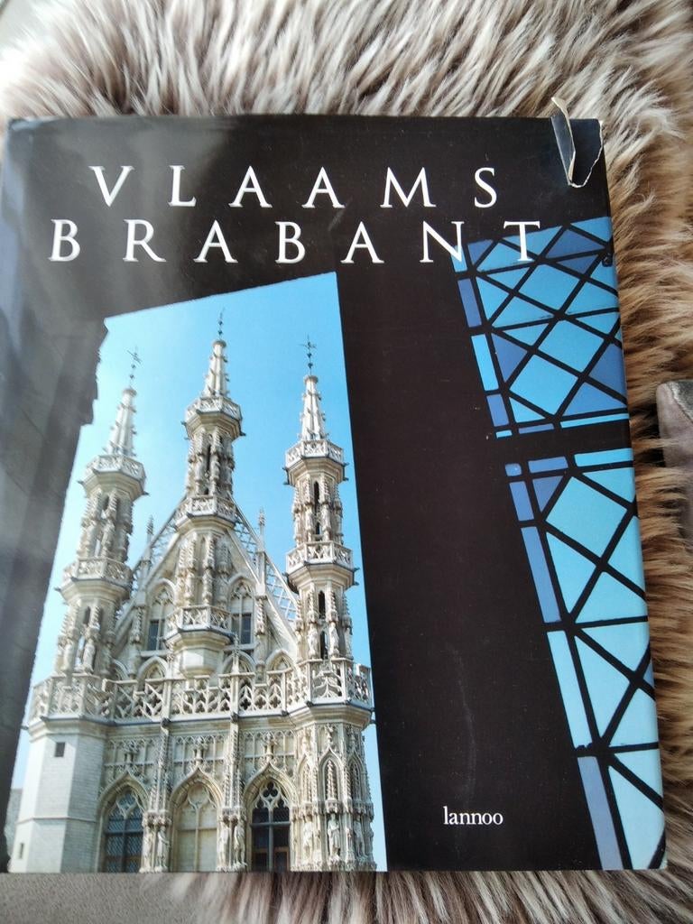 Guido Fonteyn - Vlaams Brabant, Boeken, Ophalen of Verzenden, Guido Fonteyn