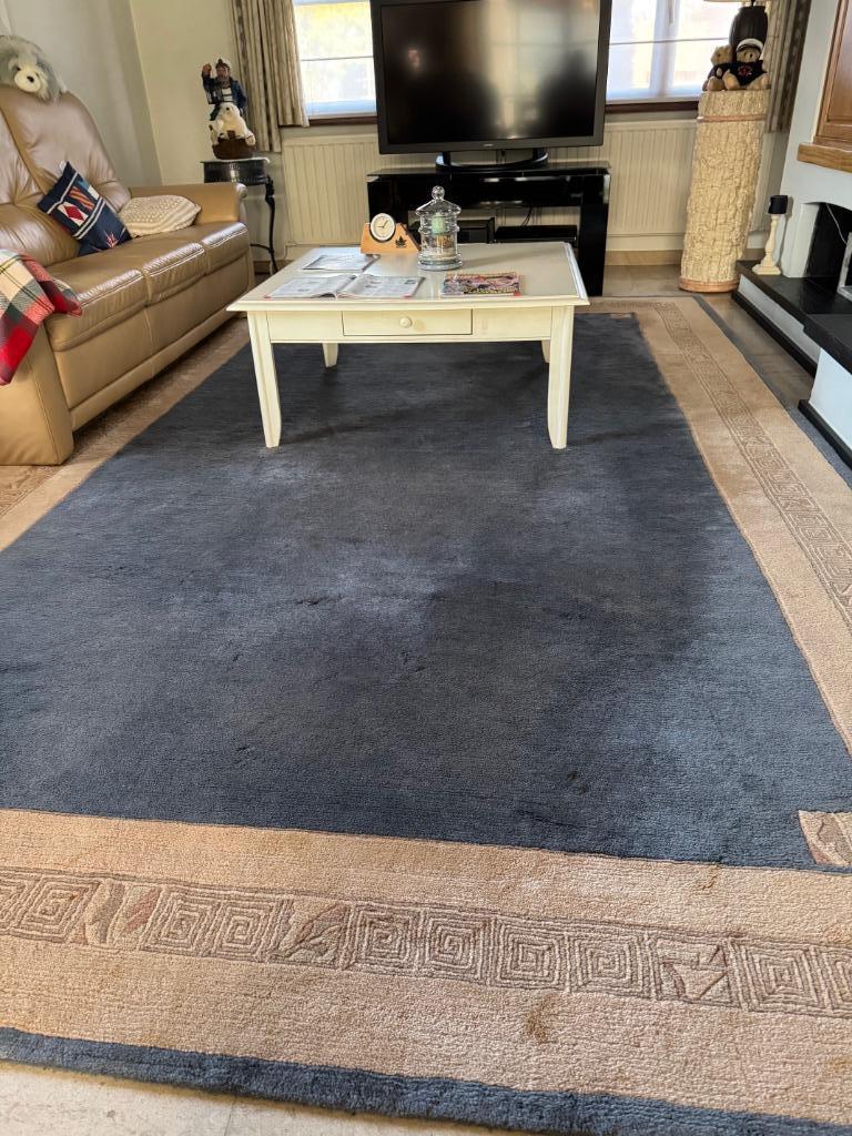tapijt, Bleu, 200 cm ou plus, 200 cm ou plus, Comme neuf