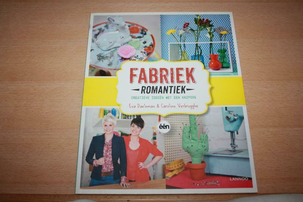 NIEUW / Fabriek – Romantiek  Eva Daeleman & Caroline Verbrug, Enlèvement ou Envoi, Neuf, Autres sujets/thèmes