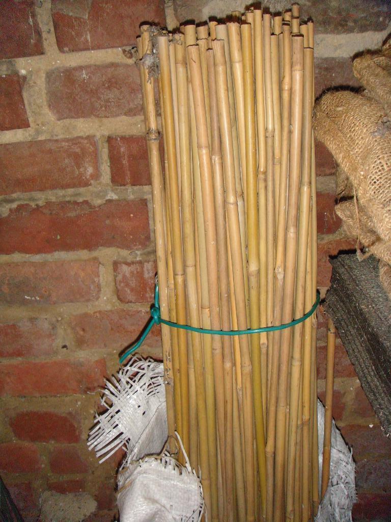 Bamboestokken, Ophalen of Verzenden