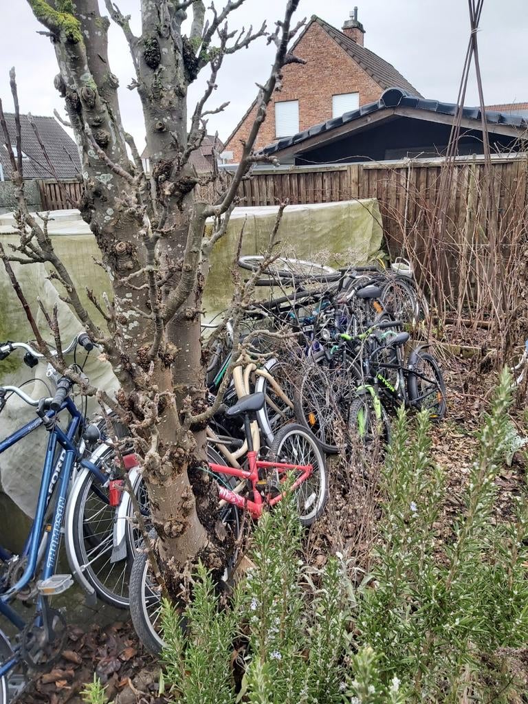 Een set van fietsen en banden., Enlèvement