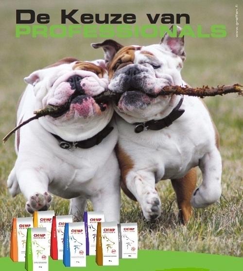 paalse dreamdogs- premium Hondenvoer champ dogfood, Enlèvement, Chien