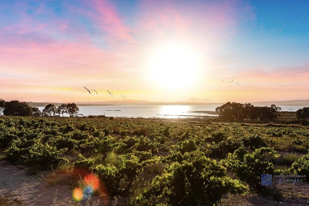 villa te koop, Costa Blanca, uw tweede huis in Spanje, Immo, Torrevieja, Spanje, Woonhuis, 3 kamers