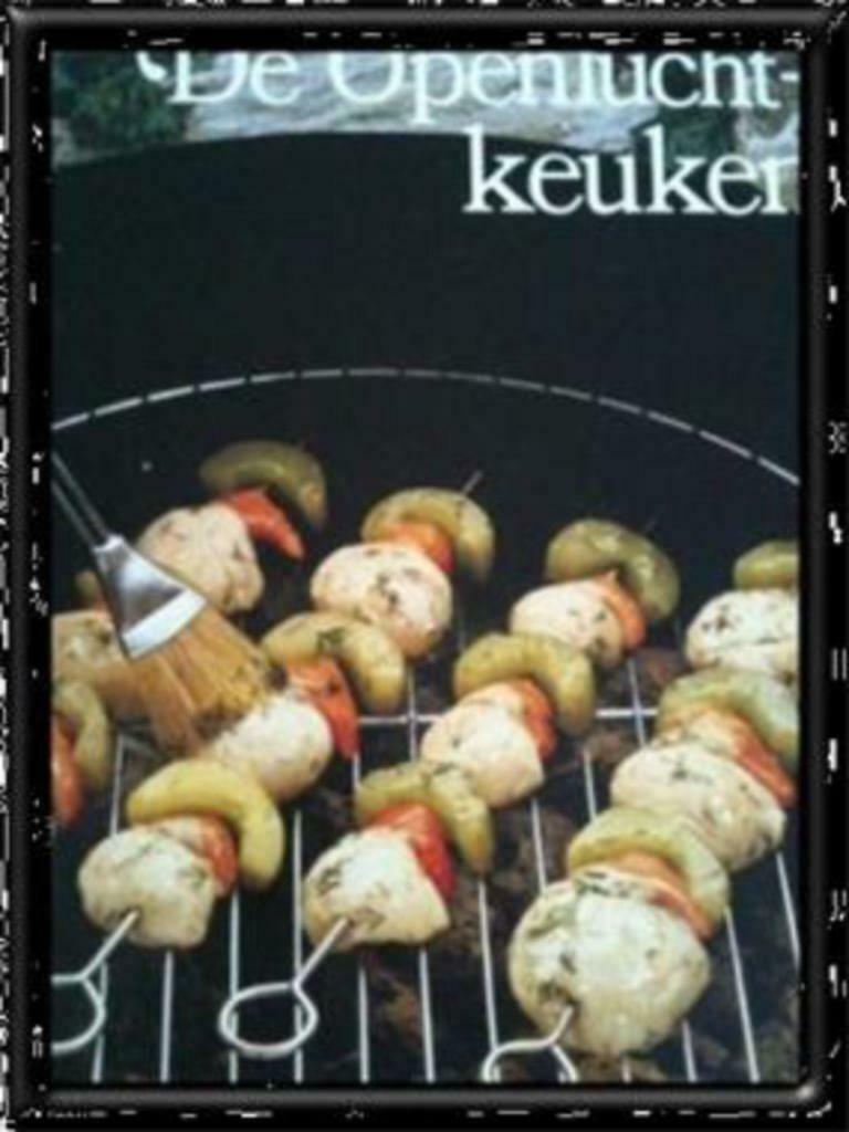 De openluchtkeuken, Praktisch koken, Boeken, Kookboeken, Gelezen, Ophalen of Verzenden