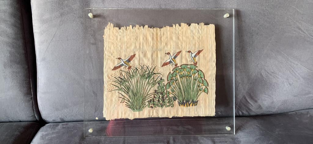 Papyrus onder plexi, Verzenden, Gebruikt