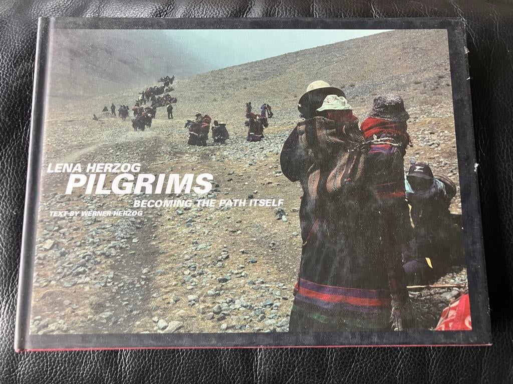 Lena Herzog Pilgrims, Ophalen of Verzenden, Gelezen