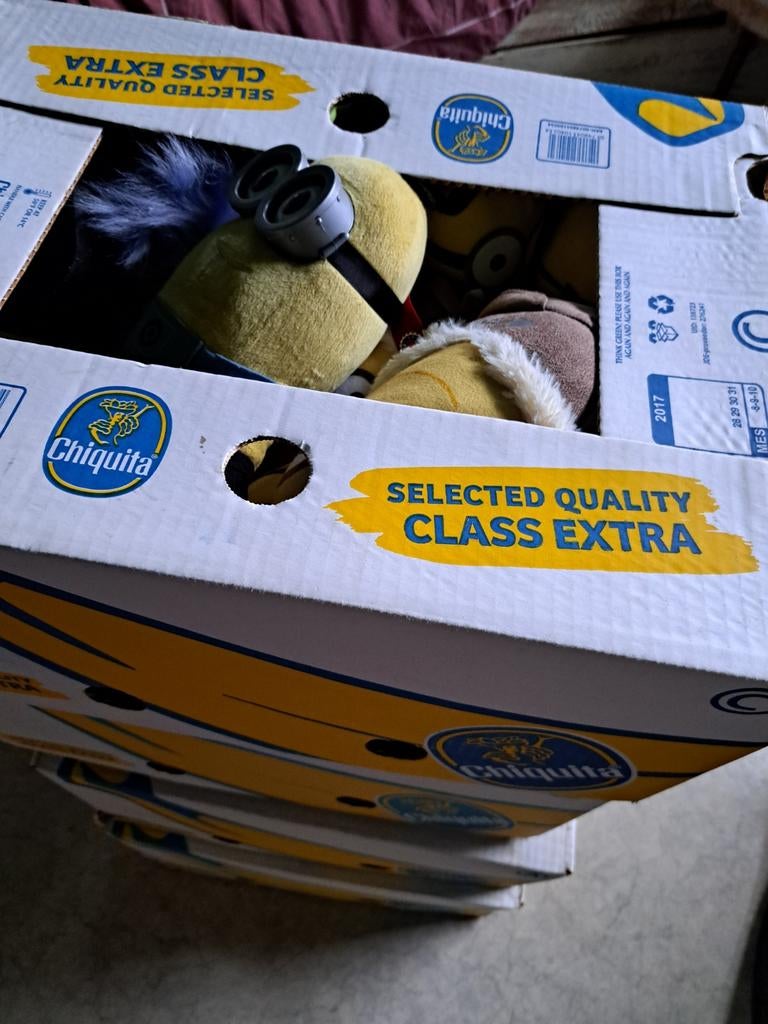 curiosa; dvd's, schoenen en minions, Enlèvement